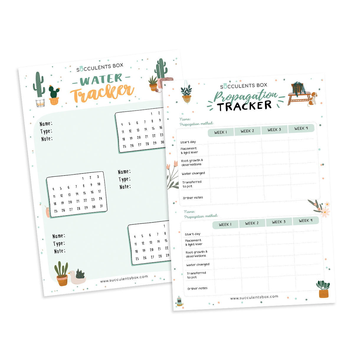 Download Free Printable Succulent Bullet Journal Or Planner Succulent Home Office Ideas Succulents Box