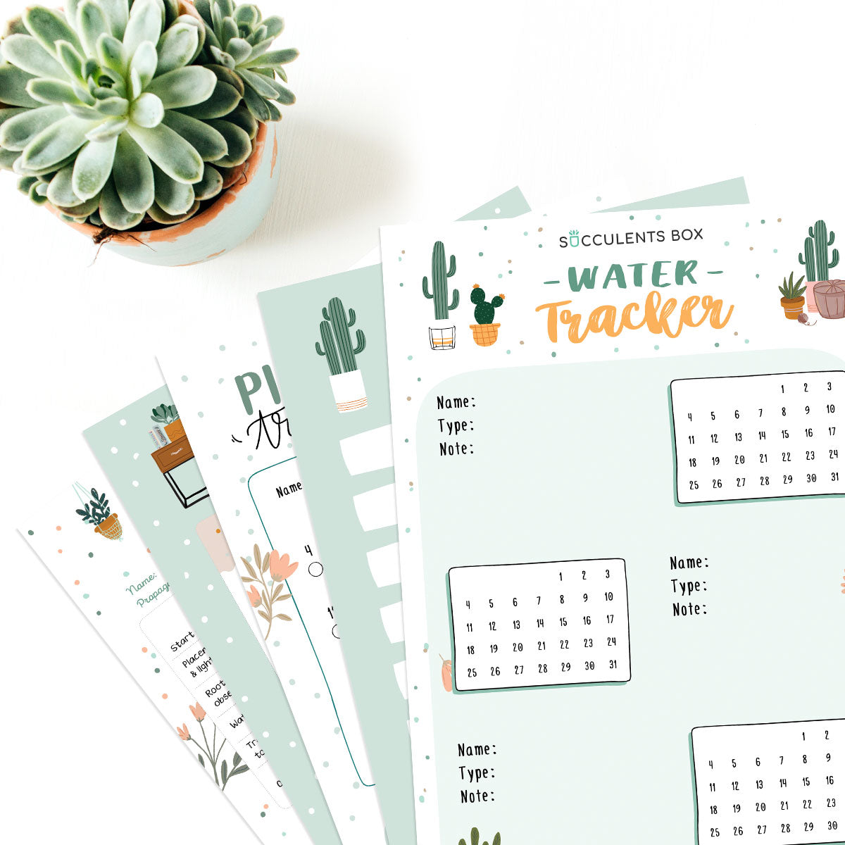 Download Free Printable Succulent Bullet Journal Or Planner Succulent Home Office Ideas Succulents Box