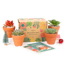 Succulents for Sale, Types of Succulents, Succulents Shop in California, Succulents and Cactus Plants, Cactus Box, Subscription Box with Care Instruction, Succulent Subscription Box