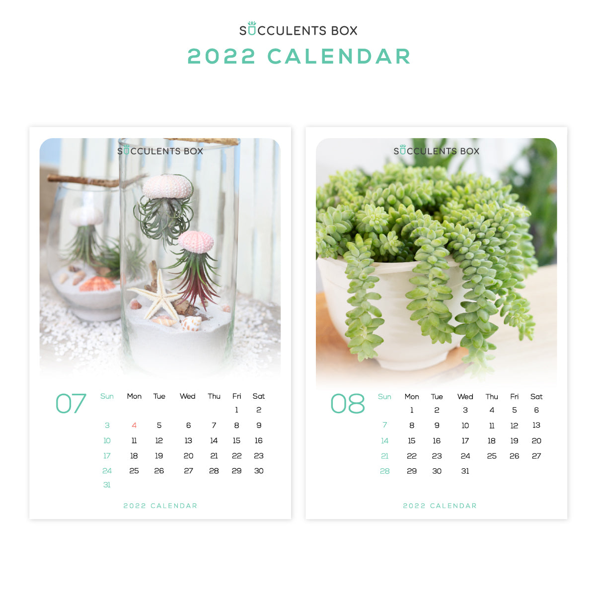 printable 2022 calendar succulents box