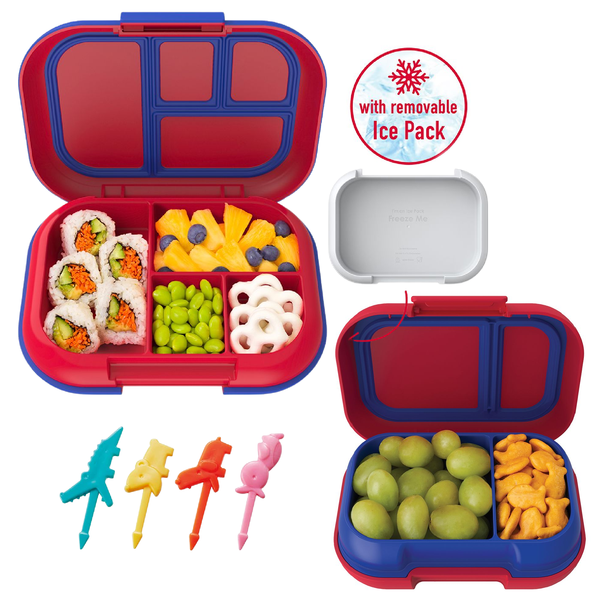 Bentgo Kids' Lunch Box Review: A Great Value