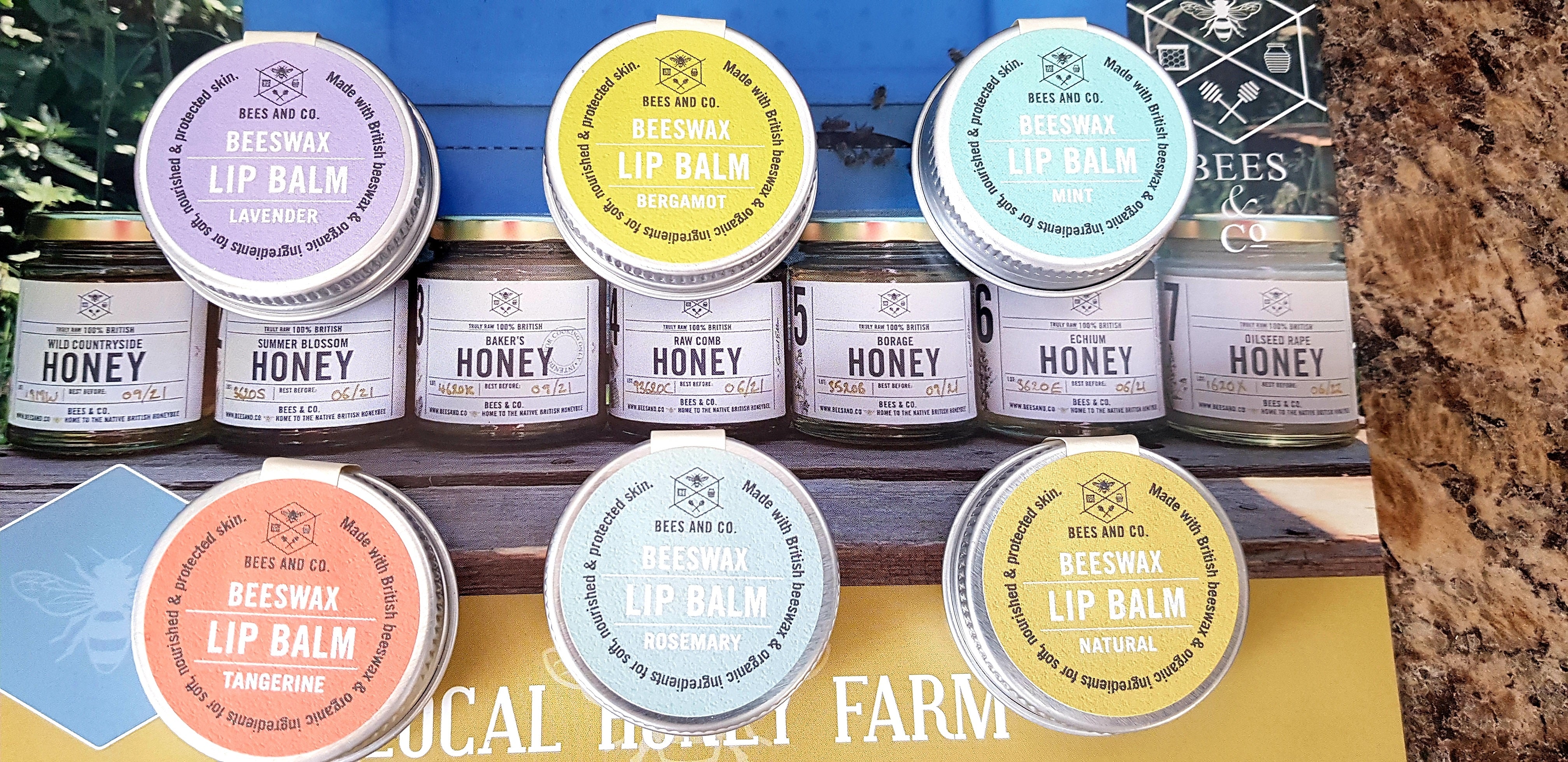 Unscented Beeswax Lip Balm — The Charming Co.