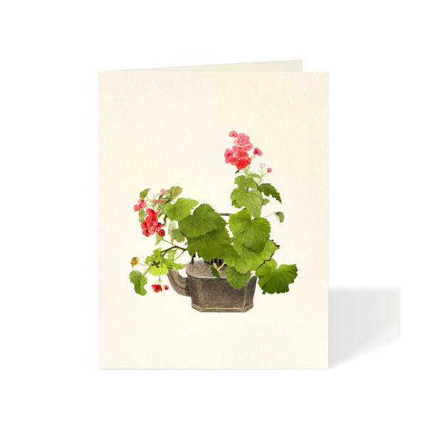 Card, All Occasion, Tea Pot Begonias | Pippins Tea Company Inc.