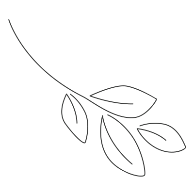 leafillustration