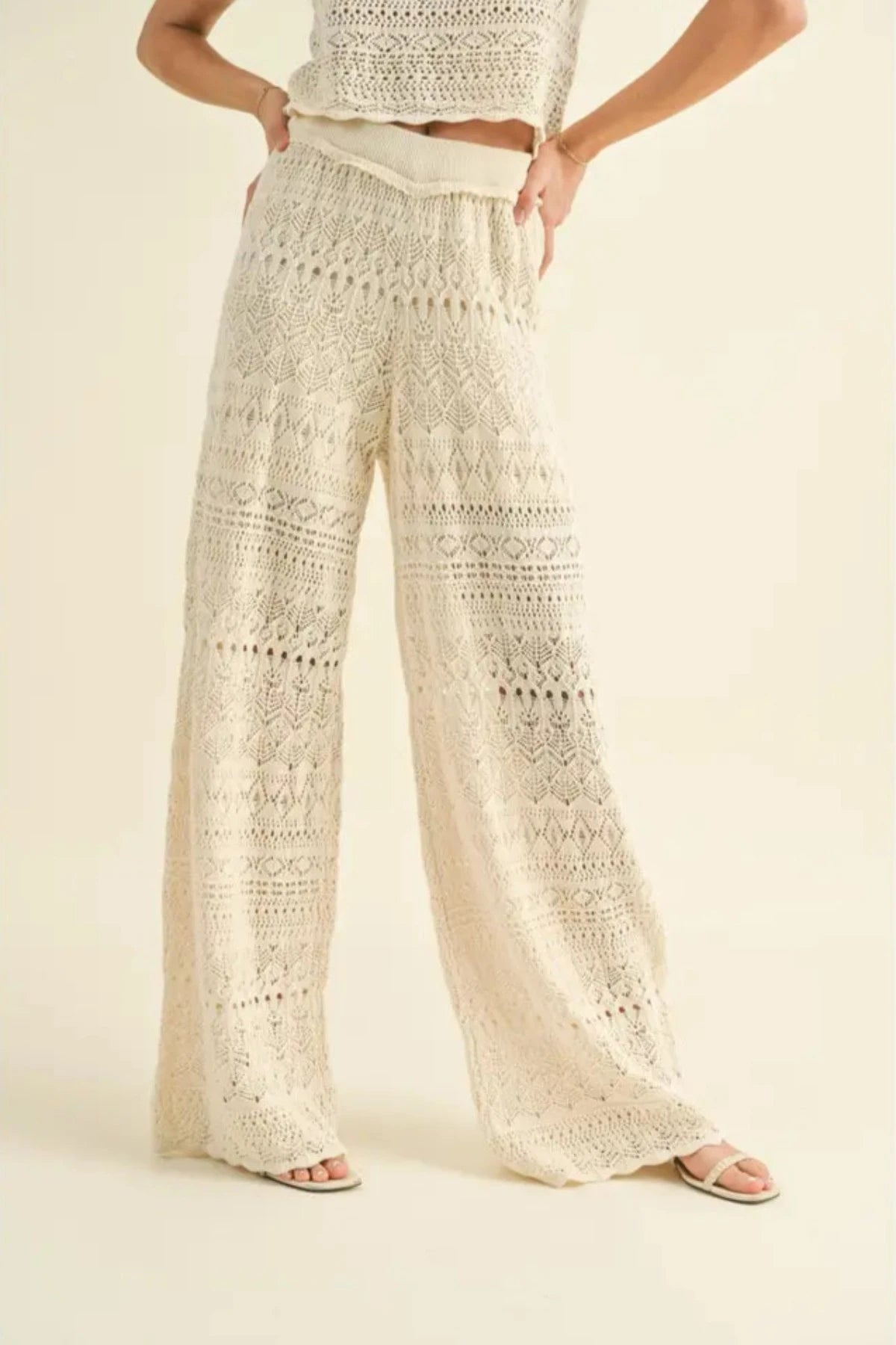 Shine Crochet Wide Leg Pants