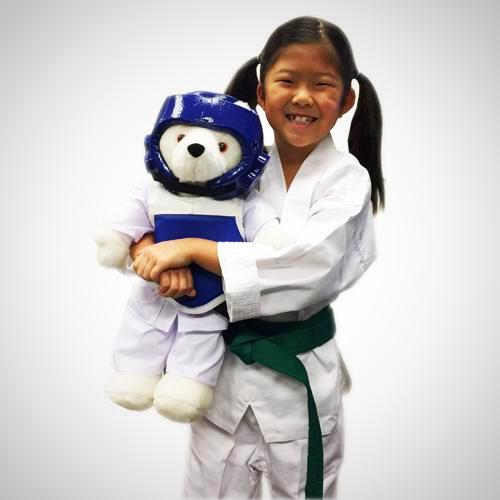 taekwondo teddy bear