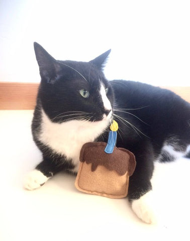 Catnip Birthday Cake Cat Toy