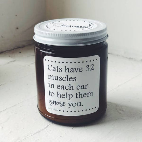 Cats Have 32 Muscles In Each Ear To Help Them Ignore You Cat Candle