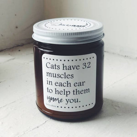 Cats Have 32 Muscles In Each Ear To Help Them Ignore You Candle