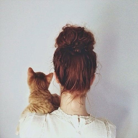 Cats Who Look Like Their Owners