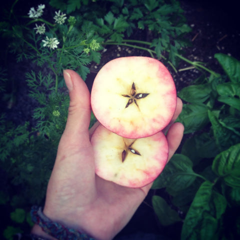 Apple Star Pentagram