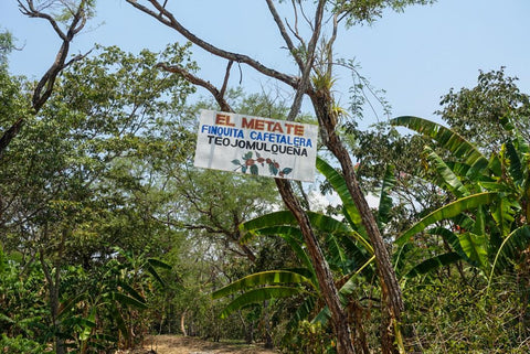 Santo Domingo Teojomulco, Sierra Sur