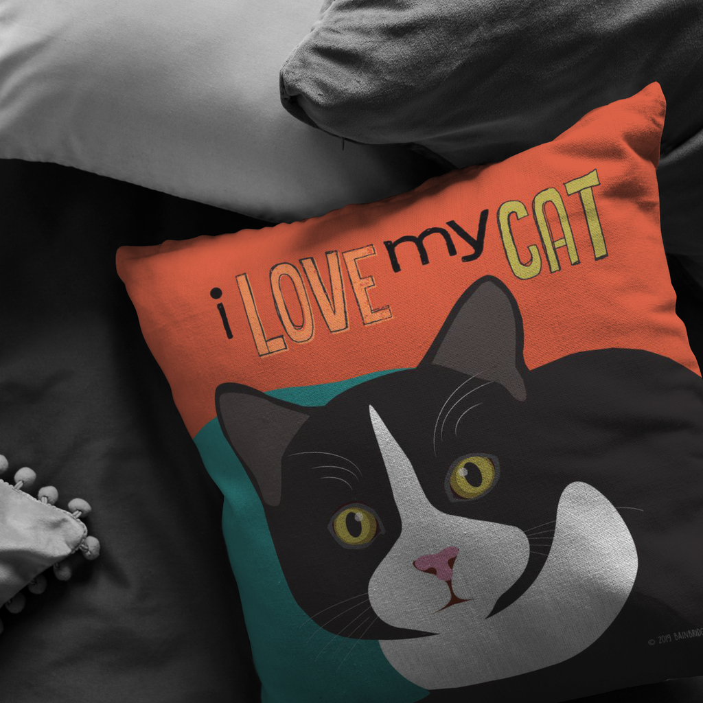 pillow of my cat