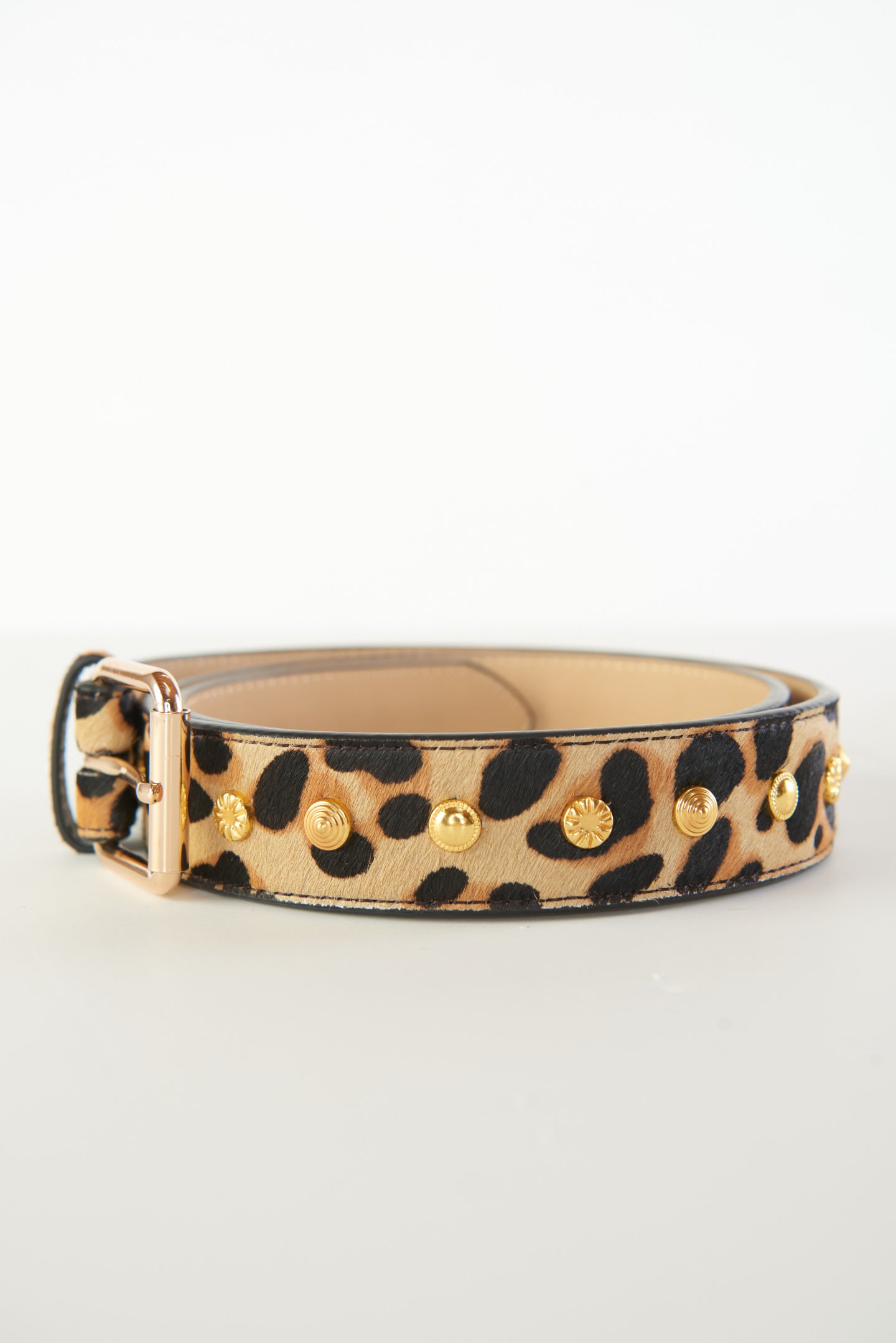 Luv AJ The Bella Studded Belt ~ Leopard