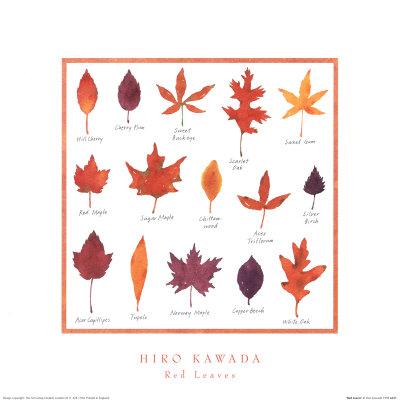 Red Leaves By Hiromi Kawada 16 X 16 Inches Fine Art Print Artistica Fine Art