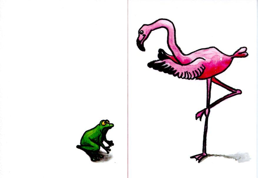 Pink Flamingo with Frog by Sophie Turrel 4 X 6 Inches (Greeting Card