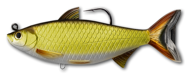 LIVETARGET Mullet Swimbait