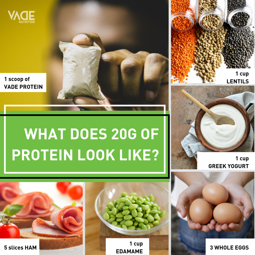 Protein, Please. – VADE Nutrition