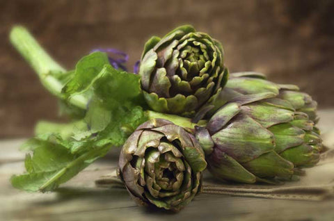 Artichoke Liver Health