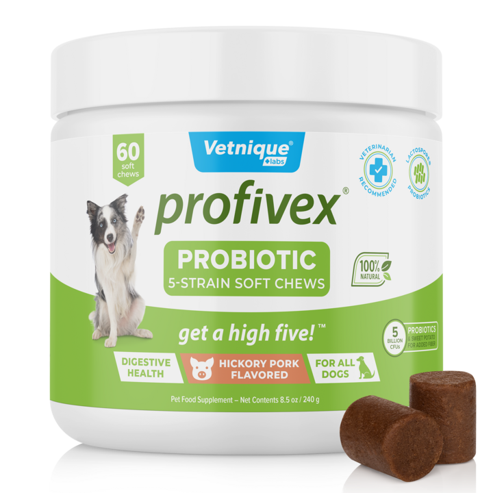 Profivex® Five Strain Probiotic Soft Chew Treats for Dogs - Vetnique Labs product image