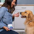 Woman kneeling in kitchen offering a Dermabliss dog supplement chew to her Golden Retriever.