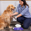 Golden Retriever getting his muddy paws wiped clean by his pet parent using Furbliss pet wipes.