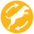 Circular yellow icon with a jumping dog representing comprehensive pet health.