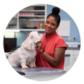 Veterinarian and VAB member Dr. Joya Griffin petting a dog inside a veterinary clinic. 