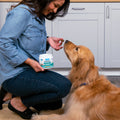 Woman kneeling with an open jar of Petbliss calming treats for dogs and feeding one to her Golden Retriever.