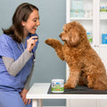 Veterinarian offering a probiotic supplement chew to a dog patient in a veterinary clinic.