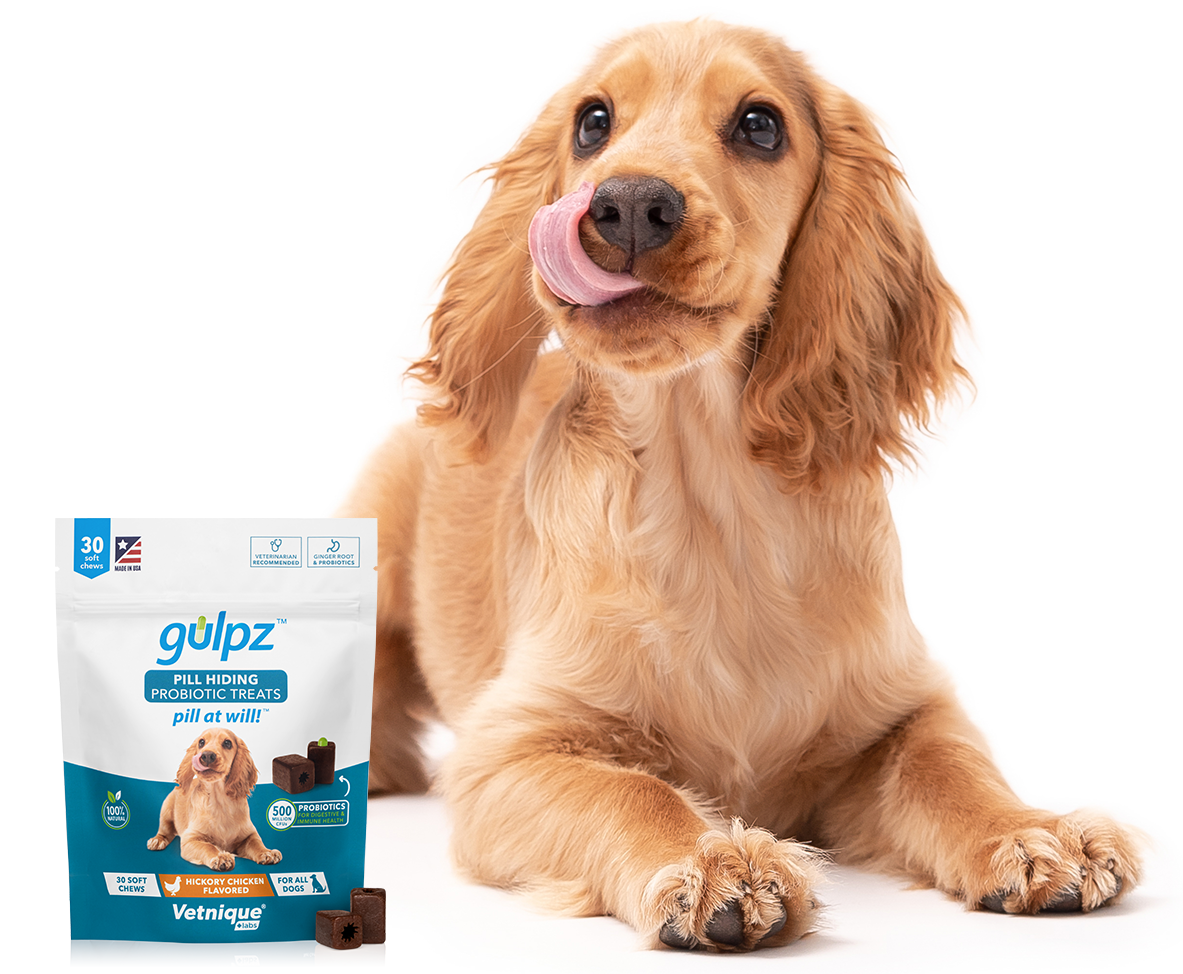 Gulpz Pill Hiding Probiotic Treat for Dogs