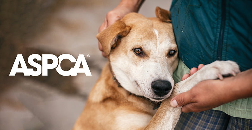 Vetnique Gives - Donate to ASPCA