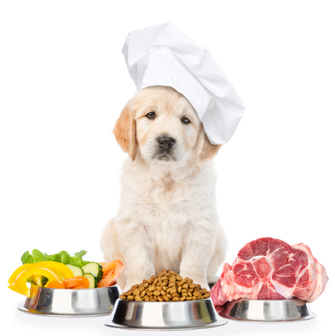 Labrador puppy in a white chef's hat sitting behind three dog bowls filled with vegetables, kibble, and red meat.