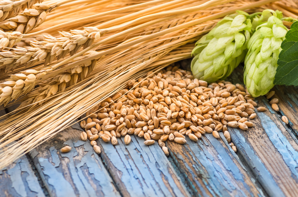 wheat stocks next to a bunch of wheat seeds