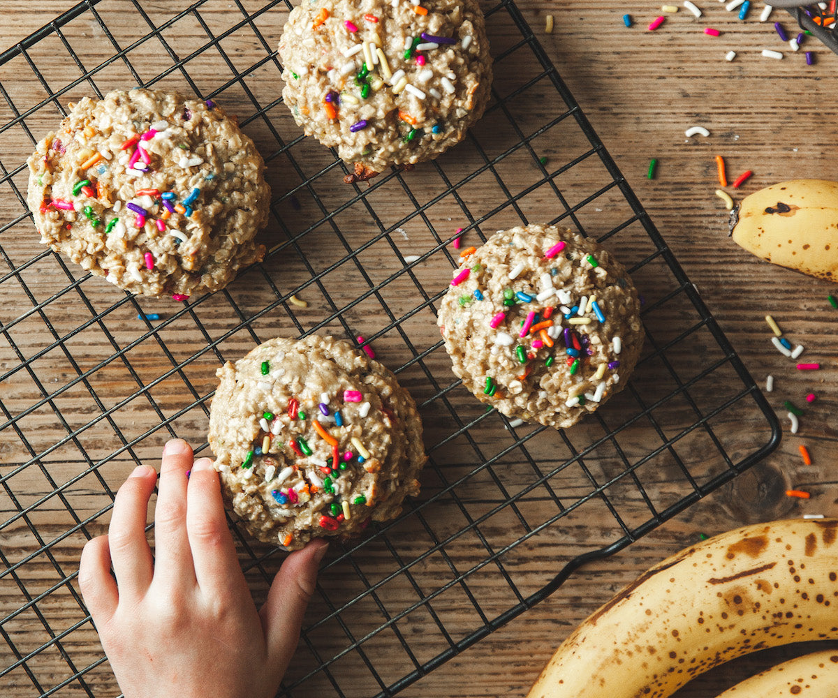 Dehydrator Breakfast Cookies – Grandma Ingrid's Kitchen