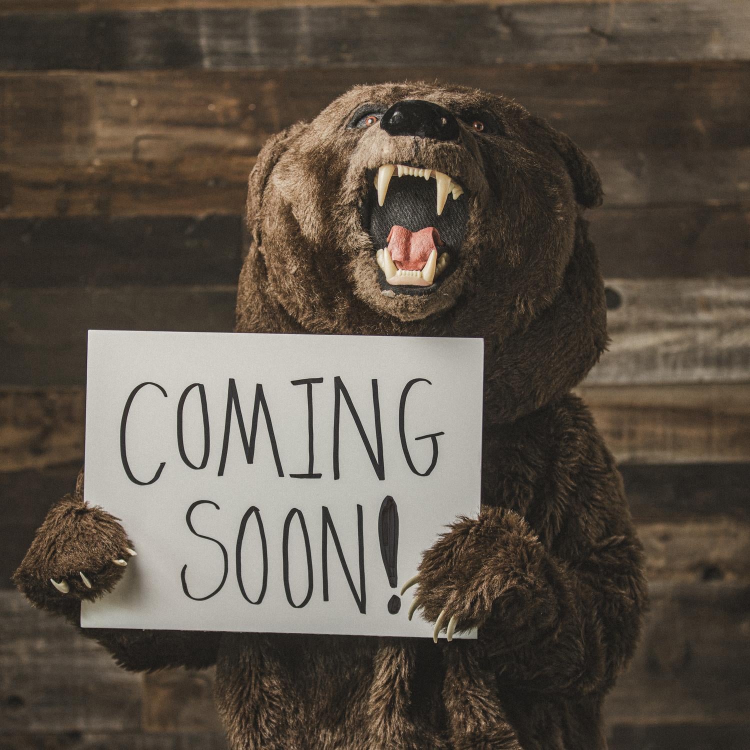 bear holding a sign which says coming soon!