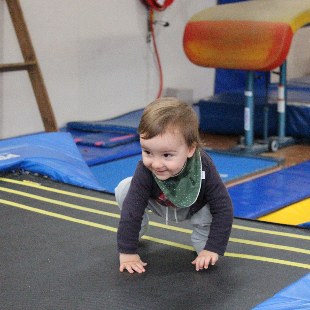 Preschool Gymnastics Classes - 18 months - 2.5 years – Waitakere Gymnastics