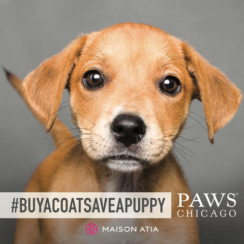 Buy a Coat Save a Puppy