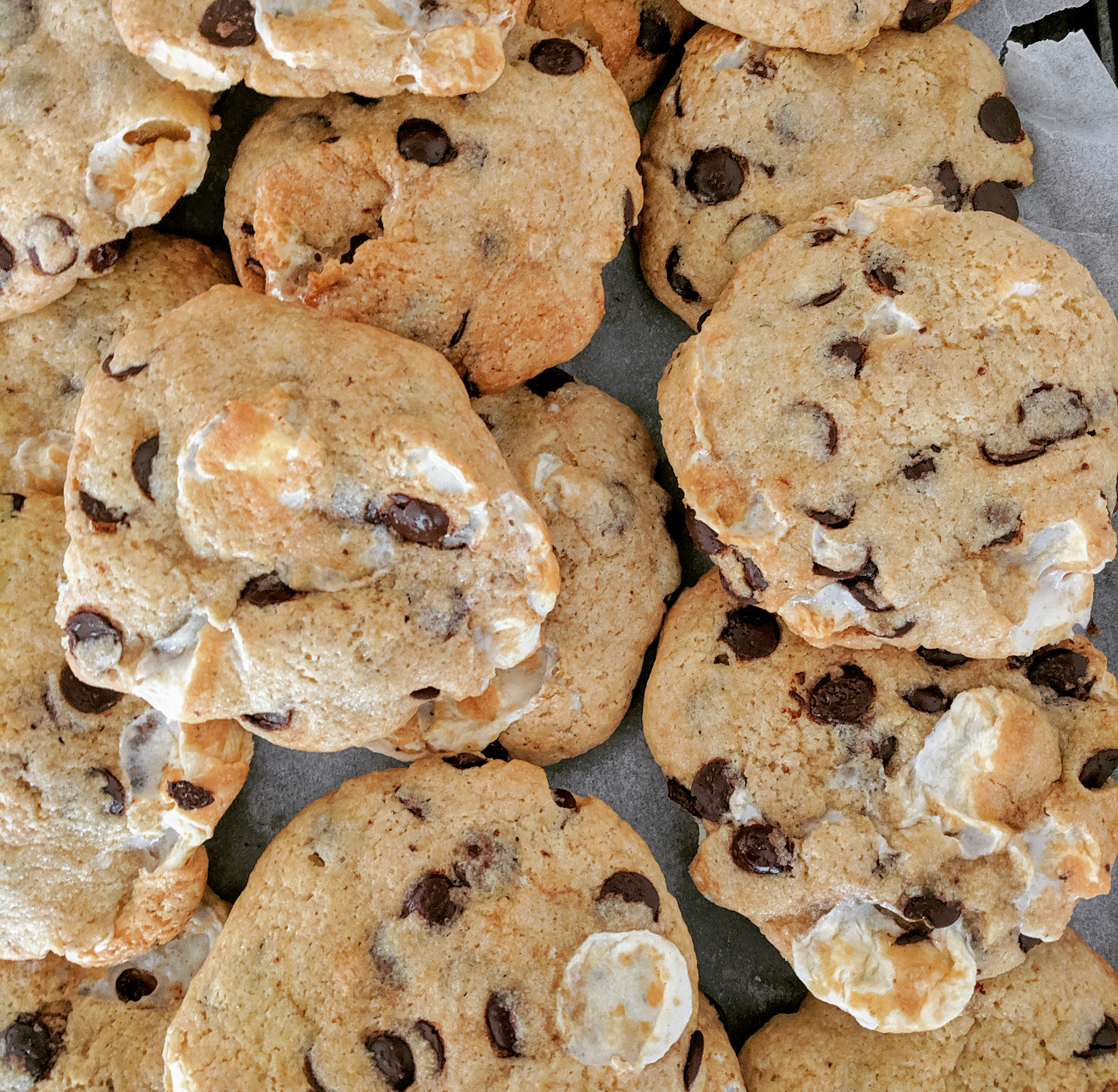 Choc chip marshmallow cookies