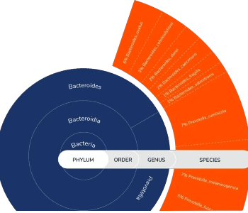 flore Technology