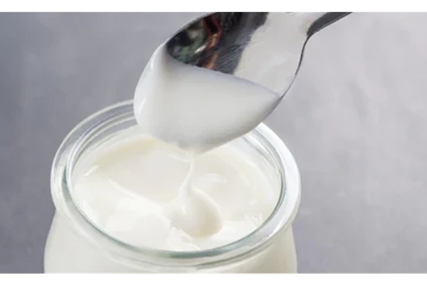 fremented yoghurt