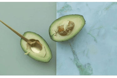 avocado-diet-gut-microbiome