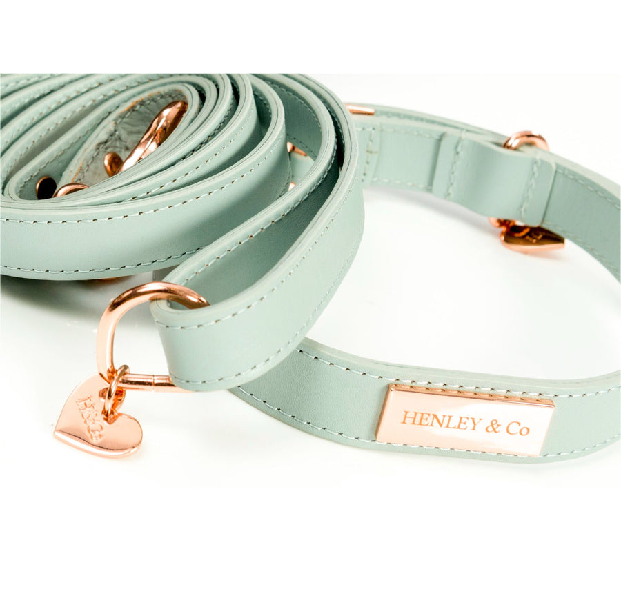 small dog collar and lead sets