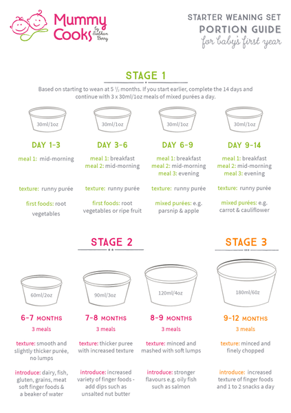 Baby Weaning Chart