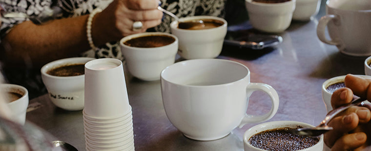 Coffee cupping at origin