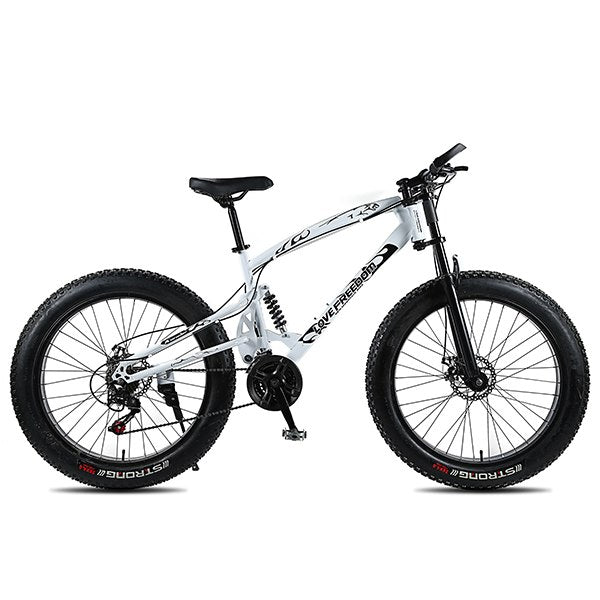 love freedom electric fat bike