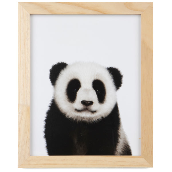 WOODALPS Wooden Picture Frames, 8 x 10 Picture Frame Set – 6 Pieces –  Wallniture