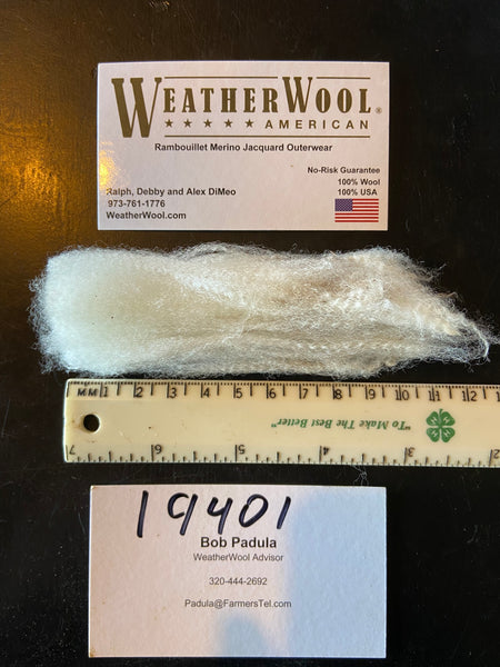 WeatherWool Advisor Bob Paula of PM Ranch took this sample from an early-born lamb's first-year shearing