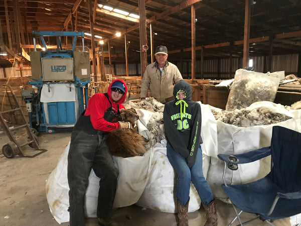 WeatherWool is proud to work with the Jones Ranch of New Mexico and the Debouillet Breed of Sheep the Jones Family has developed on their own land during a century of careful breeding.