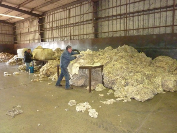 WeatherWool makes its own Fabric, starting with raw wool from select ranches. Scouring (cleaning) the raw wool is the first step in the creation of our Fabric.